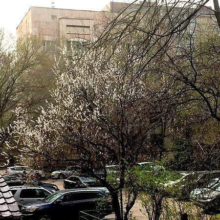 Nice Apartment On Samal 1 Almaty Exterior foto